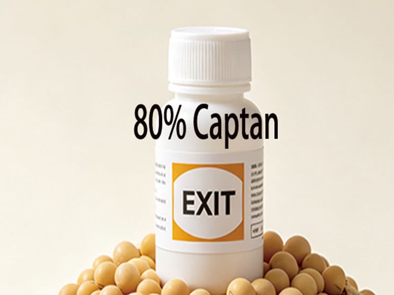 80% Captan Water Dispersible Granules (WDG)